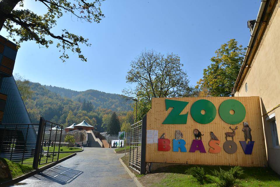 Megnyílt a brassói állatkert