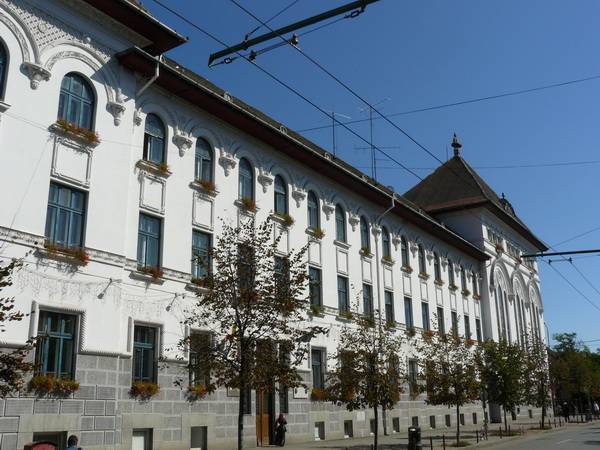 Ismét a temesvári városházán kutakodott a DNA