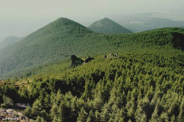 Újabb, egyszer már visszaszolgáltatott Bánffy-erdőkre tette rá a kezét a román állam