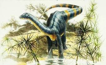 Ismét megtalálták a száz éve elfeledett erdélyi dinoszaurusz-lelőhelyeket