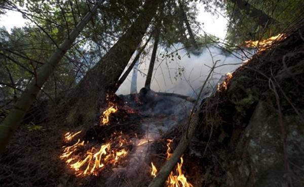 Lángokban a Balkán: Bosznia-Hercegovinában is ég a növényzet