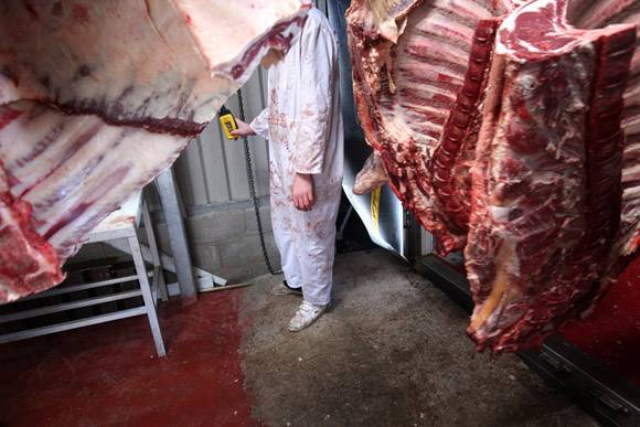 Jelentősen csökkent a húsfogyasztás Romániában