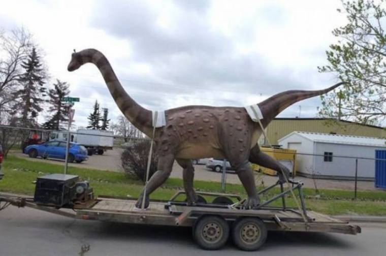 „Hazatér” Erdélybe a magyarosaurus dacus