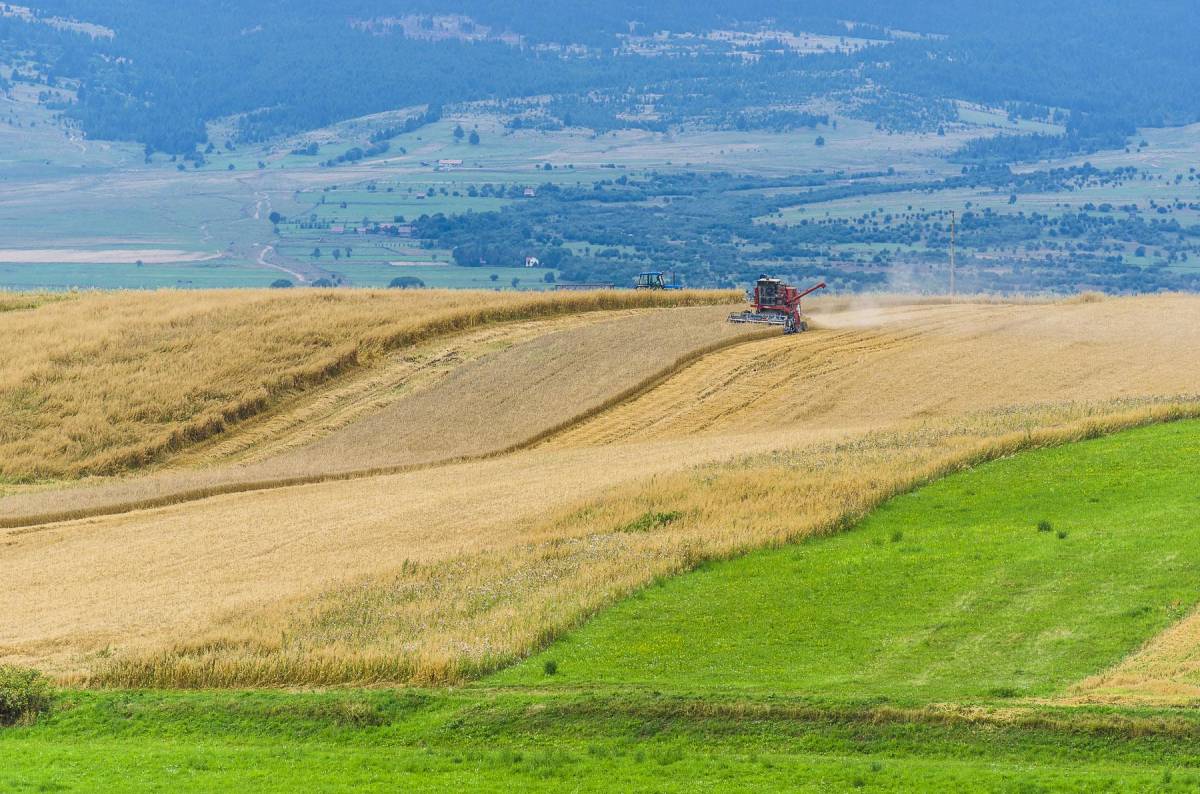 Közeleg a romániai földvásárlás korlátozása