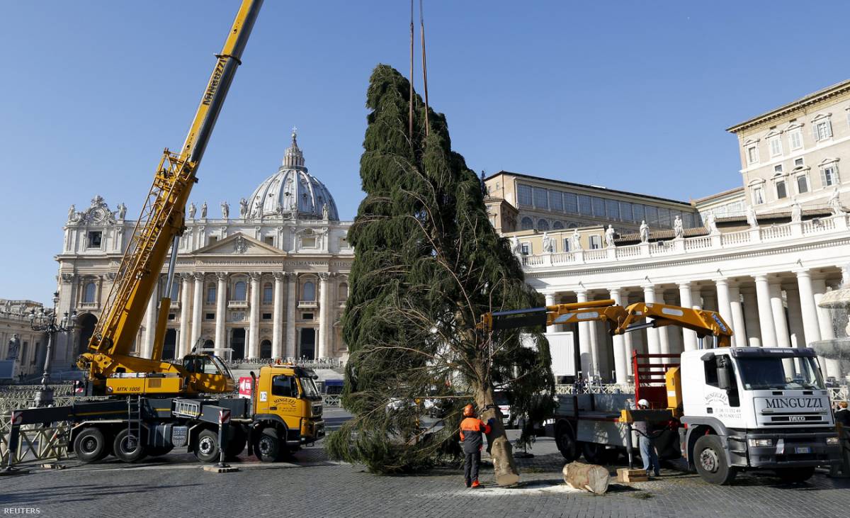 Megérkezett a karácsonyfa a Szent Péter térre