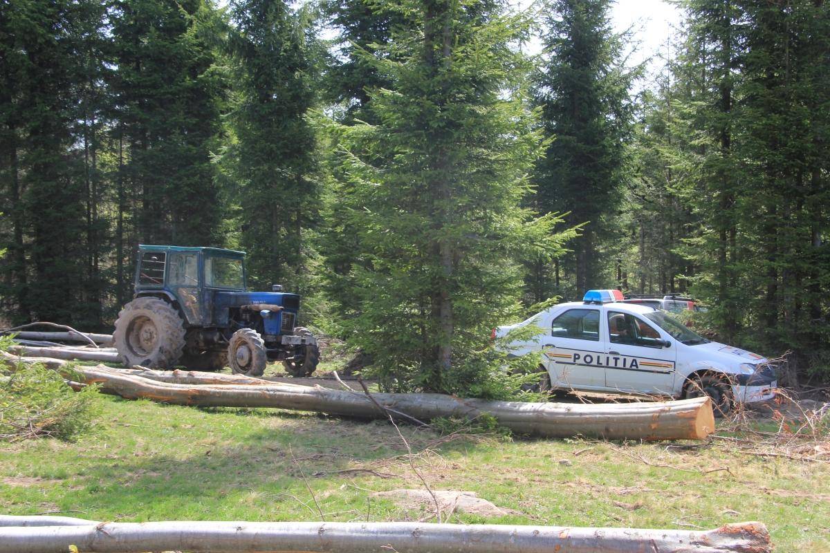 Erdőőrség megalakításáról döntött a kormány