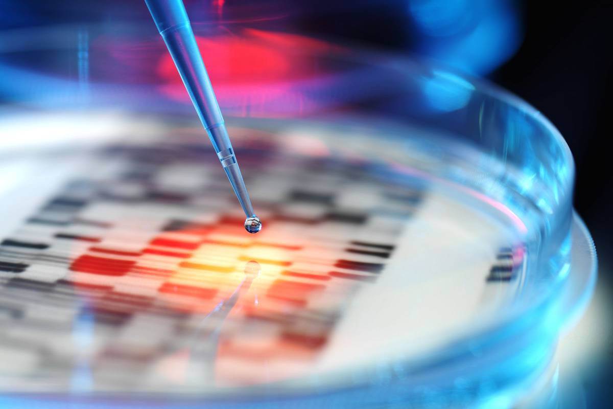 Emberi embriók génszerkesztését engedélyezték brit kutatóknak