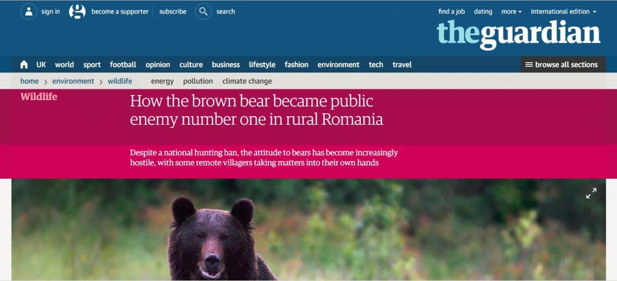 A The Guardian részletesen beszámolt az elmérgesedett székelyföldi medveügyről