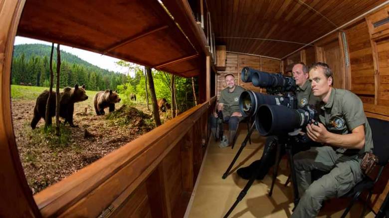 Megrongálták a világhírű fotós székelyföldi medvelesét – tarthatatlan a helyzet Tusnádfürdőn