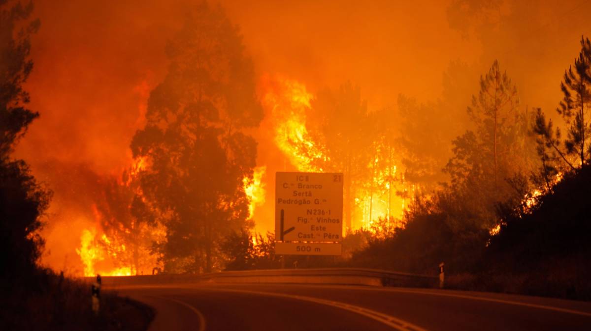 Több mint félszázan meghaltak a portugáliai erdőtűzben