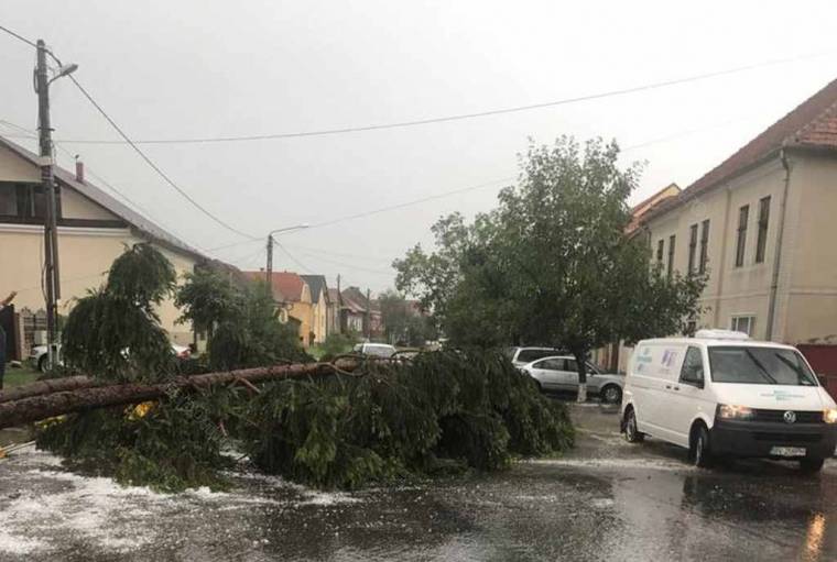 Fákat döntött ki, házakat rongált meg a vihar Beszterce-Naszód megyében