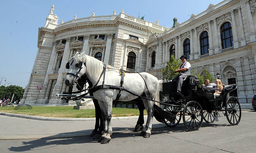 Sziesztázni küldték a bécsi belvárosban közlekedő fiákerek lovait