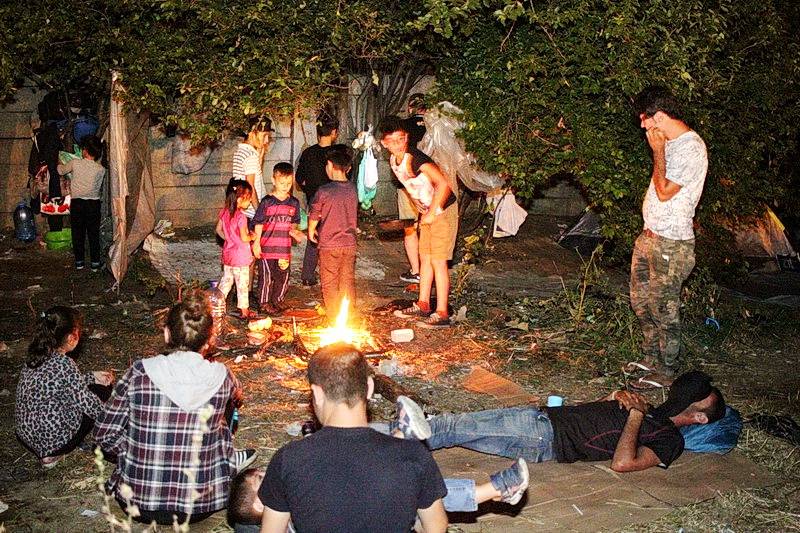 Negyven bevándorló letáborozott Temesvár határában