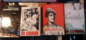 „Keresztfordítású” könyvtár a román–magyar párbeszéd előmozdítása céljából