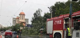 Fákat döntött ki a vihar Kolozsváron