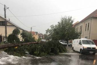 Fákat döntött ki, házakat rongált meg a vihar Beszterce-Naszód megyében
