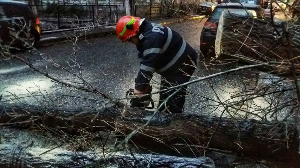 Fennakadásokat okozott az ónos eső Dél-Romániában – fák és villanyoszlopok dőltek ki a rájuk rakódó jég miatt