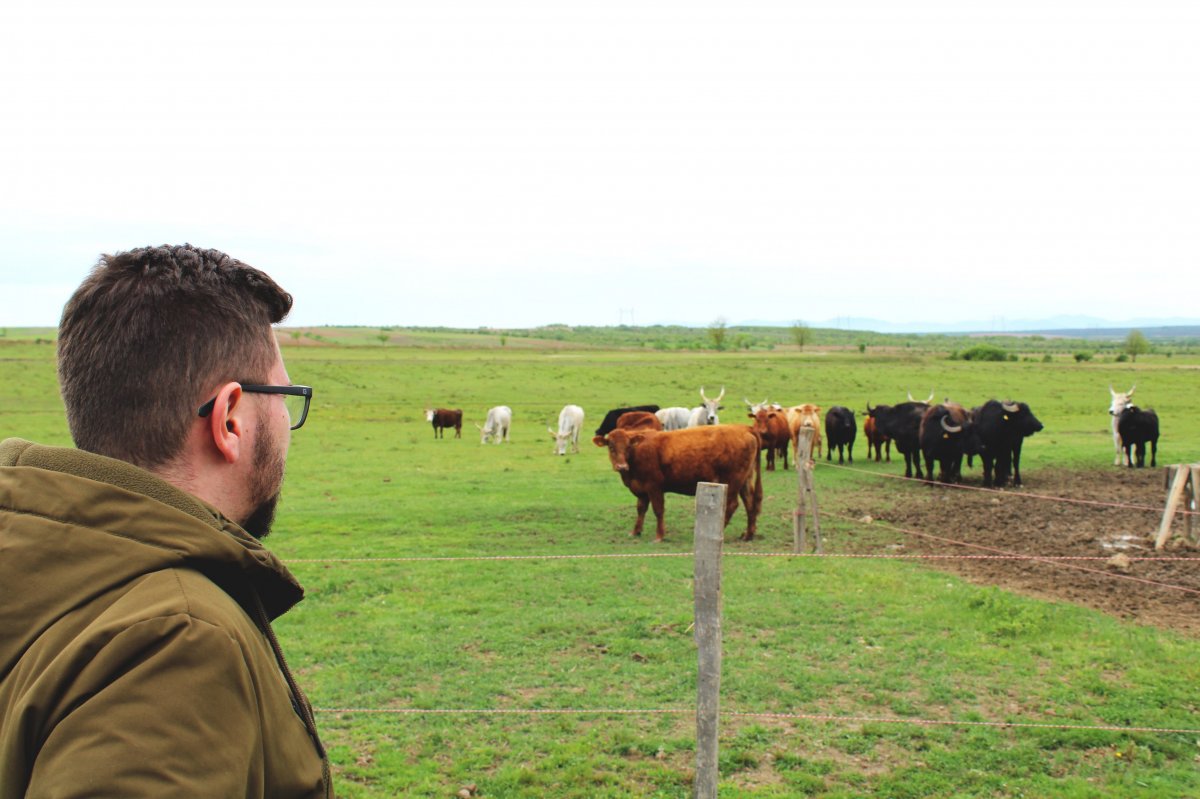 Oltean Csongor: a szatmári fiatalok és gazdák is élnek az EU adta lehetőségekkel