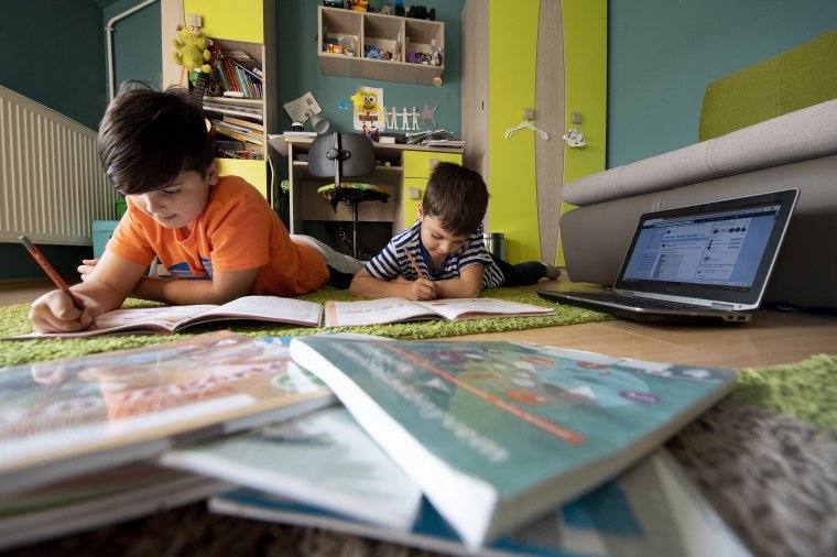 Hargita megyében több mint hétszáz gyerek tanul otthon