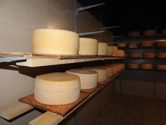 Egyre felkapottabb az erdélyi sajtkészítés: hosszas kísérletezés után születtek meg a györgyfalvi Nagy család új termékei