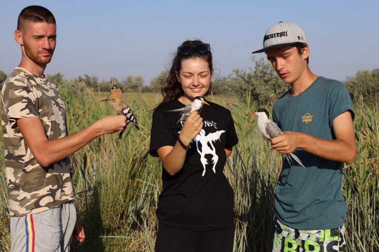 Befolyásolja a klímaváltozás a vonuló madarak életét: Marton Attila ornitológus a változásokról