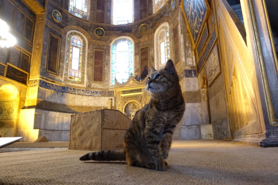 Hiába lesz mecset a Hagia Sophia, a törököknek nincs szívük utcára tenni Glit
