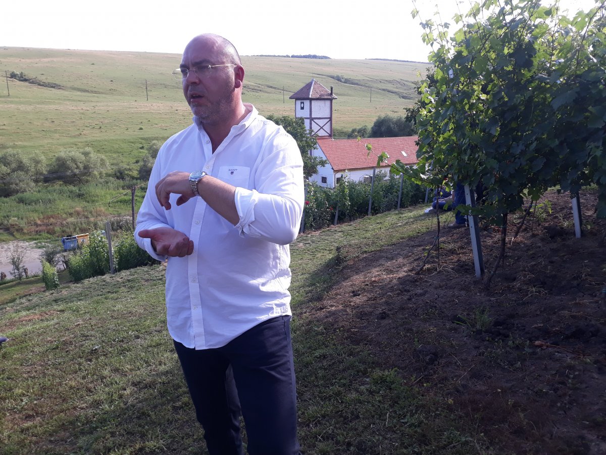 Újjáélesztett hagyományos bortermelés – Mezőszentandrás is visszakerült a szászlekencei borászat térképére
