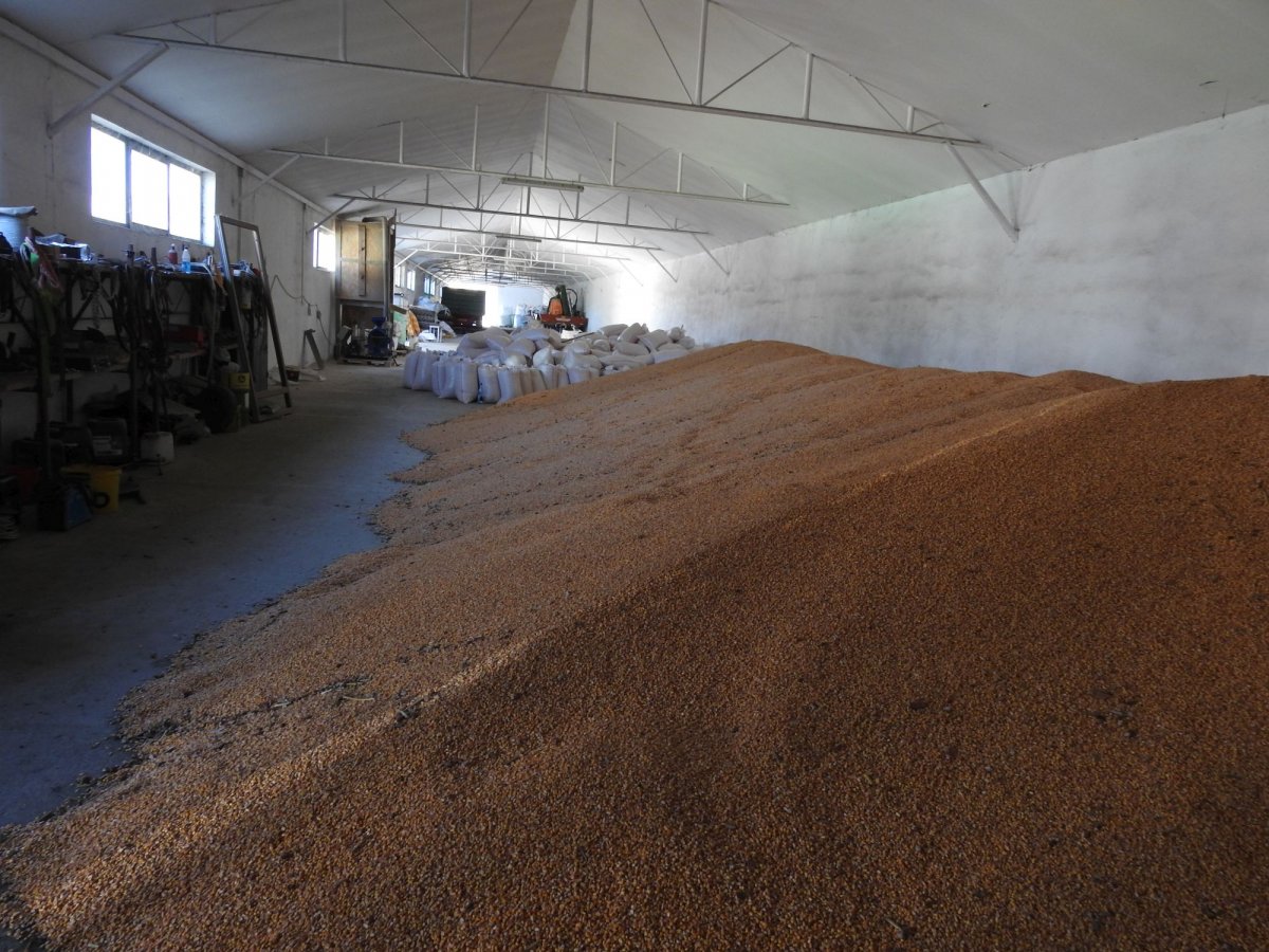 Betiltották az ukrán gabona feldolgozását és felhasználását Szlovákiában