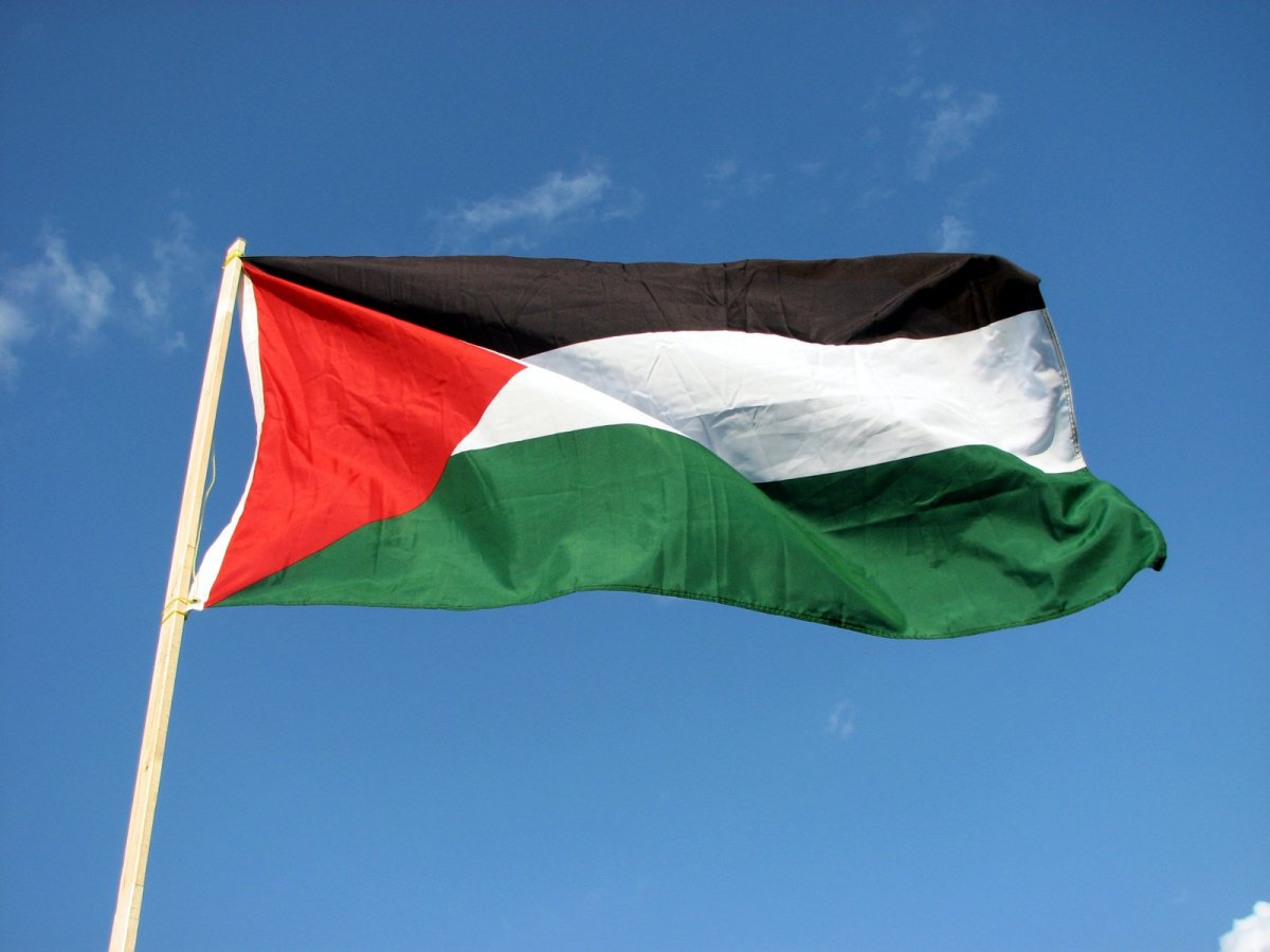 Több tucat palesztin tüntetett Temesvár központjában