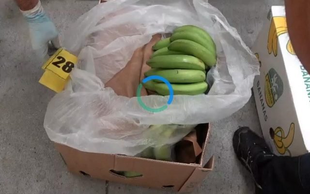 Banán közé rejtett hatalmas kokainszállítmányra bukkantak Bukarest közelében