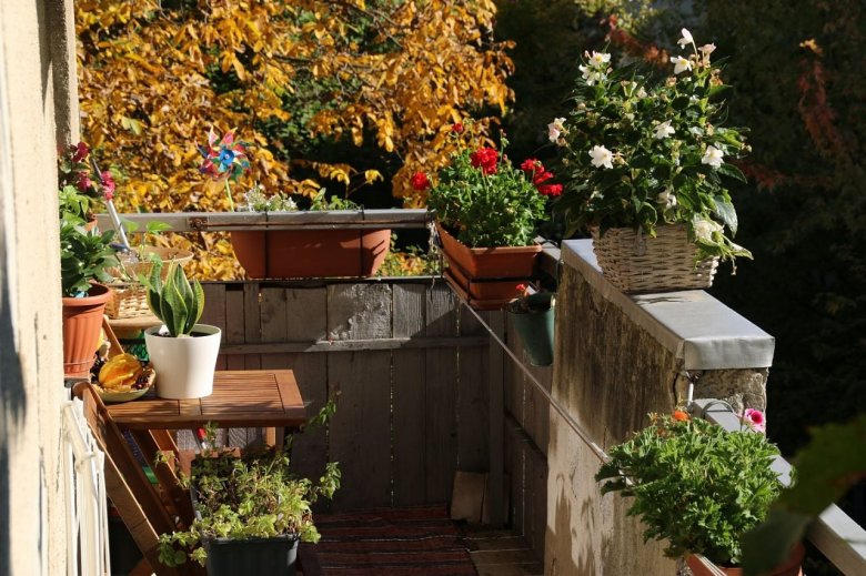 Közelebb a természethez a lakónegyedekben: fűszerkert, színes virágládák, szobanövények az erkélyen