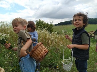 Tanítómester a természet a Pán Péter óvodában: a gyermekek igényeihez igazodik a Maros megyei erdei tanintézet