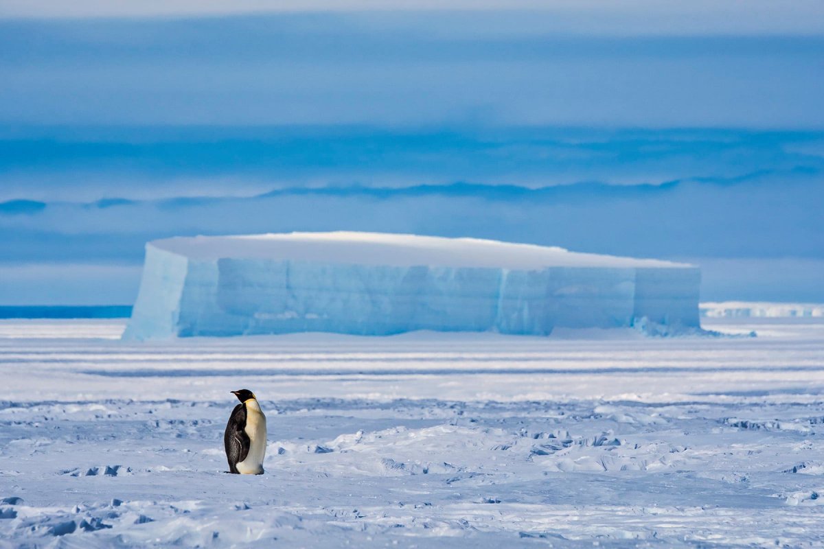 Hatalmas jéghegy vált le az Antarktiszról