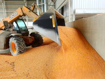 Helyi gabonából készül a legjobb takarmány: gazdaintegrációval segíti a termelőket a kerelőszentpáli takarmánykeverő üzem