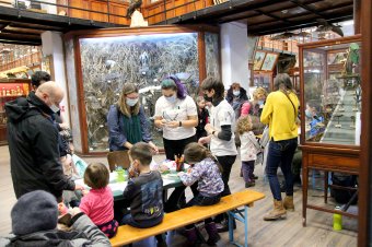 Beporzók Napja: interaktív vándortanösvényen barangolhattak a látogatók a kolozsvári Állattani Múzeumban
