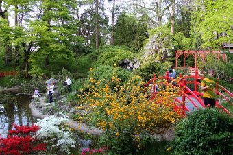 Látássérültek igényeihez igazított teret nyitnak a kolozsvári botanikus kertben