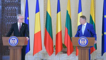 Gitanas Nauseda litván elnökkel találkozott Iohannis, illetve Ciucă, többek között az EU energetikai függetlenedéséről beszéltek