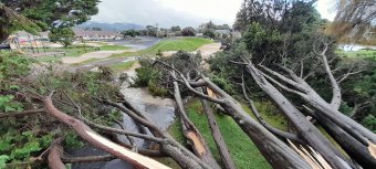 Több mint százezer villám csapott le egy hét alatt Új-Zélandra, de a hónak örülnek
