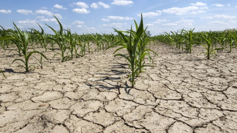 Európa-szerte súlyos következményekkel járhat a nagy szárazság, a szakértő szerint észszerű öntözés kellene