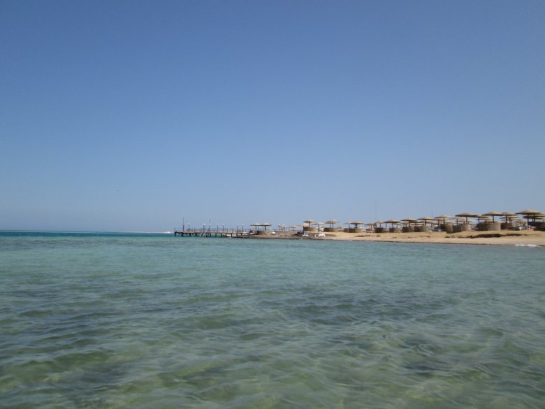 A hétvégén két turista halt meg cápatámadás miatt Egyiptomban, egyikük egy román állampolgár (FRISSÍTVE)
