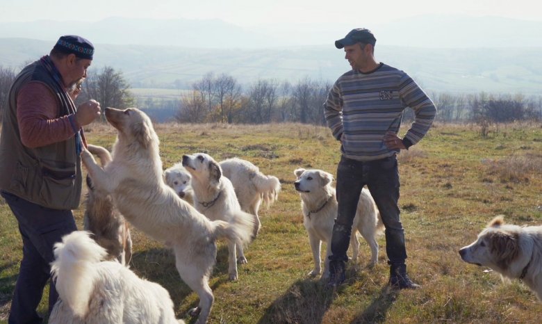 Ki kutyája az erdélyi magyar? Lakatos Róbert kolozsvári rendező identitásról is szóló új dokumentumfilmjéről