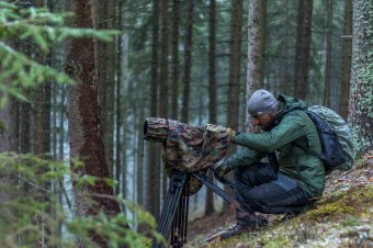 Medvekutatás nagy látószögű objektíven keresztül: Gál László ökológus és természetfilmes a nagyvadak életmódját vizsgálja