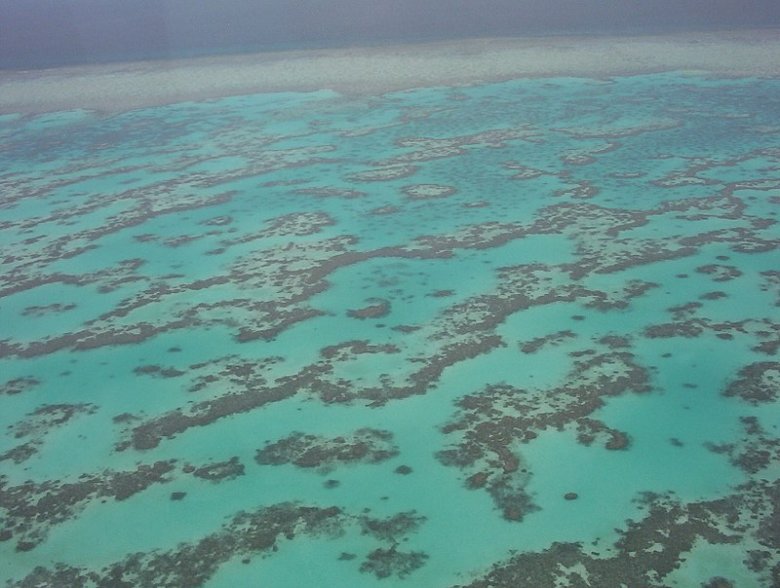 A Nagy-korallzátony veszélyeztetett világörökségi helyszínné nyilvánítását javasolják