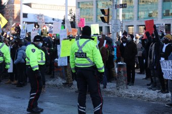 Belebukott a kamionblokád során tanúsított totojázásba Ottawa rendőrfőnöke