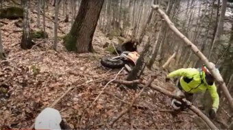 Terepmotorosra akart rontani a felriasztott medve egy Prahova megyei erdőben (Videóval)
