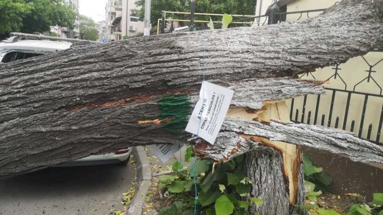 Ítéletidő csapott le Bukarestre, fákat döntött ki, épületelemeket sodort le a szél