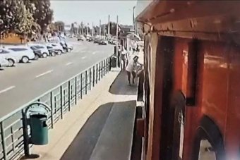 Nem működött a vészjelző rendszer – ezzel védekezik egy aradi villamosvezető, miután a hibájából a villamos alá esett egy nő