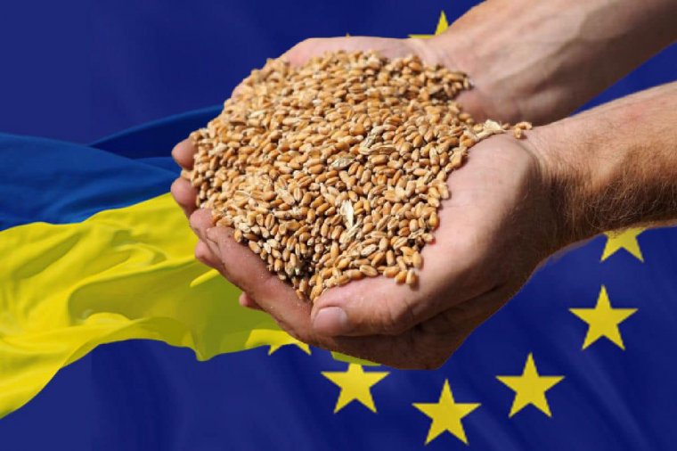 Újra közösen kérik Brüsszel segítségét az ukrán agrártermékek okozta piaci zavarok kezelésében a környező országok
