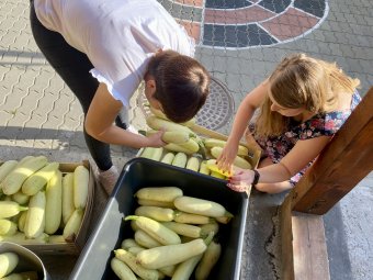 Hagyományos gyümölcsfajták, biokonyhakertek népszerűsítése céljából szervez találkozót Szatmáron a Partiumi Falugazdász Hálózat