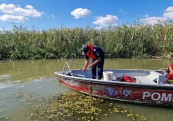 FRISSÍTVE – Eltűnt egy német turista a Duna-deltában, a rendőrség vizsgálatot indított